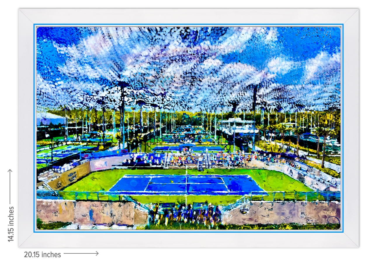 USTA National Campus Stadium Landscape - Framed Acrylic Reproduction - 14" x 20"