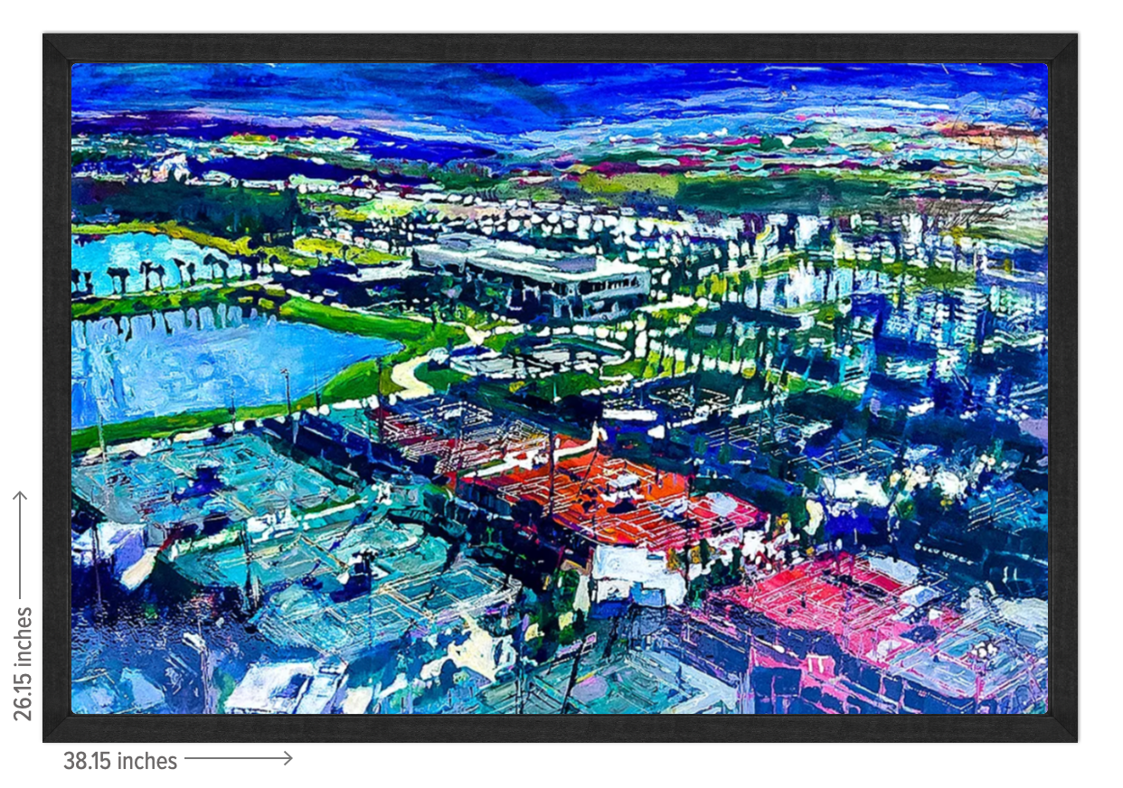 USTA National Campus Signature Landscape - Framed Acrylic Reproduction