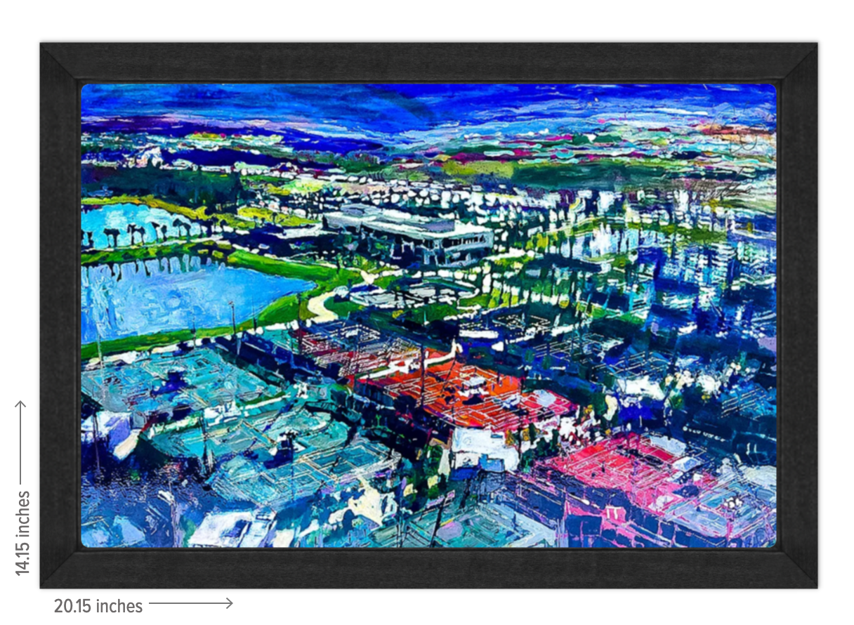 USTA National Campus Signature Landscape - Framed Acrylic Reproduction