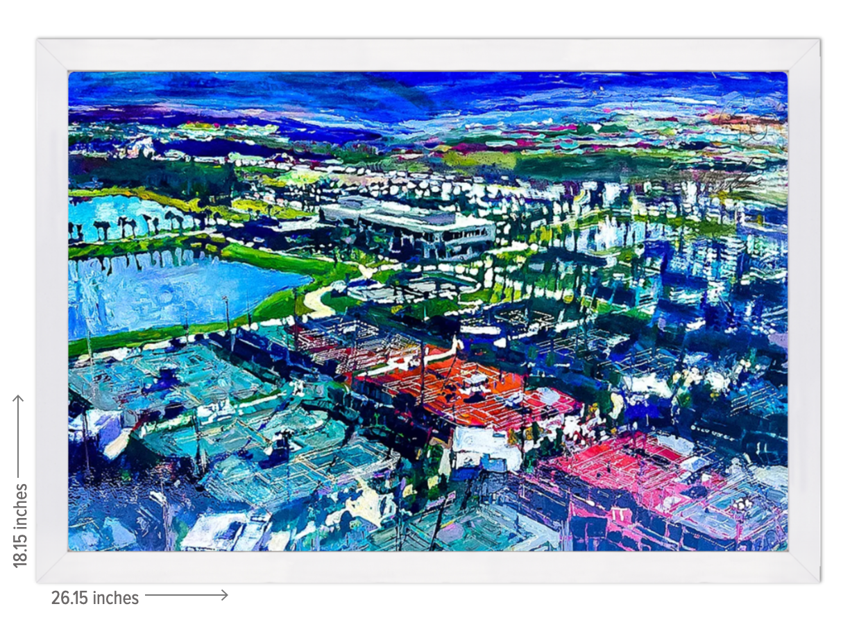 USTA National Campus Signature Landscape - Framed Acrylic Reproduction